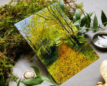Irish landscape greeting card 17x12cm.
Search for my store&nbsp;Sarah Elliott Fine Art&nbsp;to see all my products.