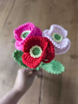 Crochet poppy flowers great decoration for your home and they are beautiful gift for your mum, nanny or someone! 🌺🌺💐💐💐
The price is for each! 