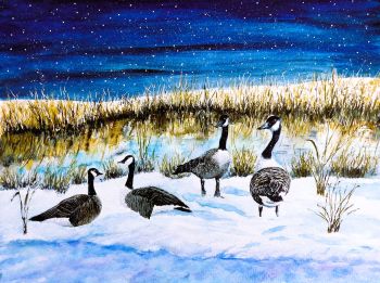 'Canada Geese' - fine art nature giclée print available in various sizes mounted and framed.
Produced by the giclée printing method using special long-lasting pigment on 180gsm watercolour paper. Mounted onto acid free board suitable for prints on watercolour paper. As well as making it sturdier, it prevents movement of the print & surface bubbling.
Search for my store Sarah Elliott Fine Art to see all my products.