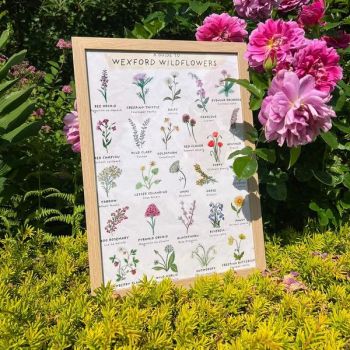 Beautiful hand painted floral prints of Wexford wildflowers, with English and Irish names.