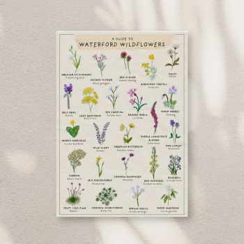 Beautiful hand painted floral prints of Wexford wildflowers, with English and Irish names.