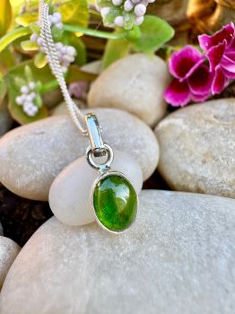 Dainty oval Tourmaline&nbsp;bezel set in Sterling&nbsp;Silver Necklace
Metal: Sterling SilverGem: Green TourmalineStone Size: 8mm x 6mm
Birthstone: October