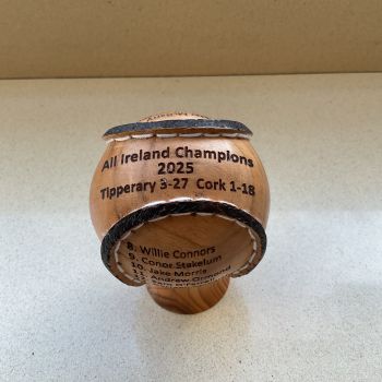 Hurling ball trophy&nbsp;