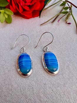 High polished oval&nbsp;Botswana Agate bezel set in Silver Earrings
Metal: Sterling SilverGem: Natural Botswana AgateAgate Size: 15mm x 10mm