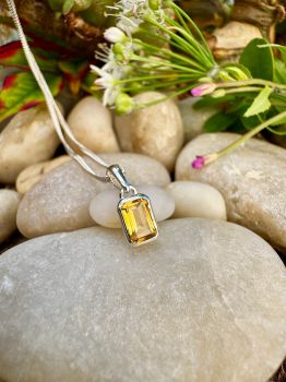 Brilliant emerald cut Citrine bezel set in Silver Necklace
Metal: Sterling Silver
Gem: Genuine Citrine
Stone Size: 6mm x 4mm
Birthstone: November
