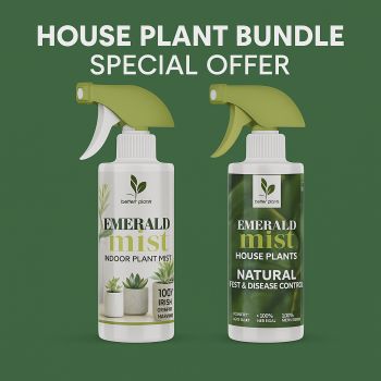 House Plant Care Bundle 🌿
Keep your indoor plants healthy and thriving with our Better Plants House Plant Bundle.Includes:✅ Emerald Mist – natural seaweed feed to boost leaf health and growth.✅ Natural Pest Control – plant-based spray to keep pests and mould away.
Organic, safe, and ready to use – everything your houseplants need to stay green and happy!