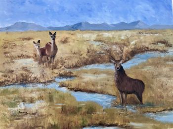 Deer coming in the countryside oil painting hardboard 20"x16"