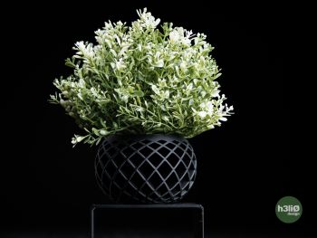 
Give your faux greenery the upgrade it deserves with the Evolve Planter&mdash;a cheeky, contemporary vessel crafted specifically for IKEA's Fejka plants. Dreamed up by designer h3li&Oslash; and brought to life through 3D printing, each planter is made-to-order in your choice of colours. Compact yet stylish at 124mm &times; 124mm &times; 82mm, it's the perfect way to add personality to your plant display without the fuss of real soil.
Plant not included