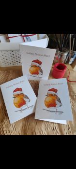 A beautiful Christmas card as gaelige.
Wishing your loved ones a happy Christmas with this little Robin in Watercolour.