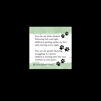 Poetry Magnet.&nbsp; Pet Lovers Gift. 2"x 2"&nbsp;&nbsp;
&euro;4 each.
Original verse from Irish poet, Sandra Matthews.