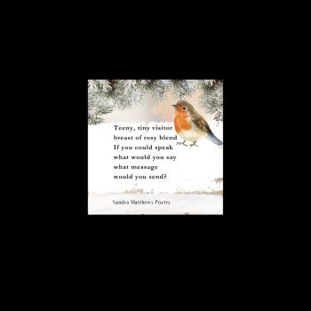 Robin. Poetry Magnet. Comforting Gift. 2"x 2"&nbsp;&nbsp;
&euro;4 each.
Original verse from Irish poet, Sandra Matthews.