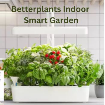 The Betterplants Indoor Smart Garden offers many advantages for every aspiring indoor gardener.
Grow nutritious microgreens year-round with these indoor gardens. Also, why not try some salads, herbs and lots of other small plants?&nbsp;