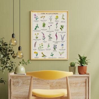 Bring a little piece of wild Cork into your home with this beautifully hand-painted A3 wildflower print. Featuring native Irish wildflowers, each one is carefully illustrated and labelled in both English and Irish (Gaeilge) &ndash; perfect for nature lovers, Gaeilgeoir&iacute;, or anyone with a gr&aacute; for Ireland&rsquo;s flora.🌸🌺🌻