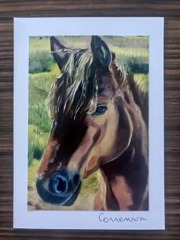 Limited edition,
signed prints,
6x4 inch prints on 5x7inch cards with envelope