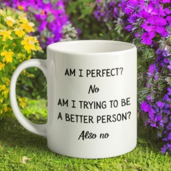 Am I perfect? No
Am I trying to be a better person?&nbsp; Also No
Perfect gift for someone is happy as they are with no plans to change.
11oz white ceramic mug.&nbsp; Microwave and dishwasher safe.