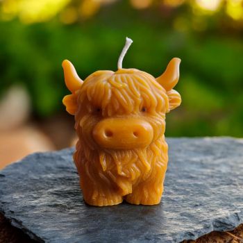 ✨&nbsp;Product Details:


Weight: 125g


Size: 80mm height x 60mm width


Burn time: Approx. 40 hours


Material: Natural beeswax


Clean, eco-friendly burn


Add a little Highland charm and cozy warmth to your space with this unique beeswax creation. 🕯️