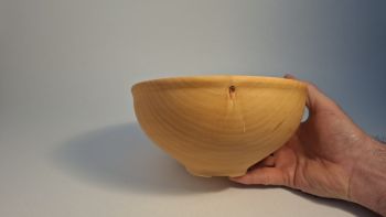 Sycamore with a carved base