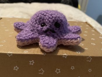 This octopus can be flipped inside out, showing a different colour and face