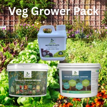 Everything you need to grow healthy, nutritious vegetables this season. Organic seaweed conditions your soil, slow-release enrichment pellets feed your crops all season long, and All-purpose vegetable food strengthens your plants from the leaves down. 100% natural, 100% Irish, 100% chemical free.