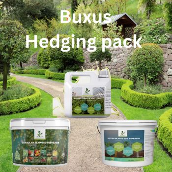 Buxus Hedging Aftercare Pack &mdash; Feed &amp; Protect Your Box Hedge
Buxus are hungry plants, highly prone to box blight and pest damage. This complete aftercare pack gives you everything you need to feed and protect your Buxus hedging from the roots up to the leaves.
Inside you'll find a 5Ltr Bucket&nbsp;of Seaweed Granules&nbsp;to condition the soil and naturally boost disease resistance, a 10Ltr bucket of&nbsp;NPK Slow-Release Pellets&nbsp;with high organic matter for steady, healthy growth, and a&nbsp;Liquid Bio-Stimulant for regular foliar feeding to keep foliage dense, green, and resilient all season long.
Feed the roots. Feed the foliage. Protect your hedge.
&nbsp;
&nbsp;