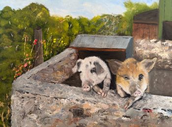 Original oil painting of two pigs over a stone wall. Charming Irish farm animal art on 16x12" canvas board. Unique gift for animal lovers. Ships from Ireland.