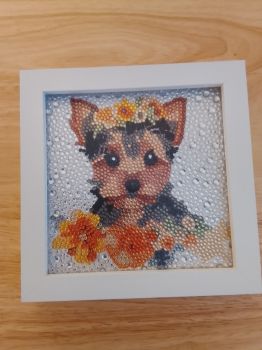 Crystal dog fame.