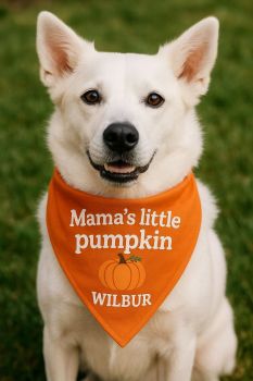 Halloween bandanas, soft velvety feel with adjustable clip safe collar included.