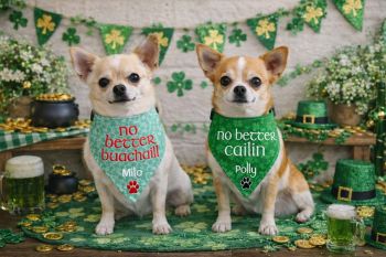St Patrick&rsquo;s Day bandanas, soft velvety feel with adjustable clip safe collar included. Can be personalised to suit.
