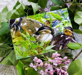 Fine art greeting card 17x12cm.
Search for my store&nbsp;Sarah Elliott Fine Art&nbsp;to see all my products.