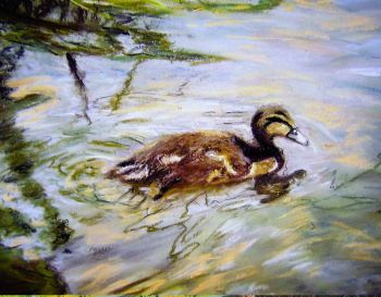 Fine art print of my original chalk pastel painting. A cute little duckling we saw enjoying it&rsquo;s paddle &lsquo;Happy Out&rsquo; with it&rsquo;s siblings &amp; mother. &nbsp;
Search for my store&nbsp;Sarah Elliott Fine Art&nbsp;to view all my products.