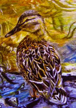 Mounted fine art print of my original chalk pastel painting. We saw this beautiful mother duck with her delightful ducklings at the pond in Trabolgan Holiday Village, Cork during one of our holidays there. &nbsp;
Search for my store&nbsp;Sarah Elliott Fine Art&nbsp;to view all my products.