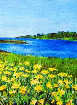 &lsquo;Golden&rsquo; &ndash; fine art Irish landscape print created from my original painting of these vibrant yellow flowers with the coastal view across Kitchen Cove in Dunmanus Bay, Ahakista. Since the photograph was taken, I&rsquo;ve since discovered the plant is a Marguerite daisy called &lsquo;Golden Butterfly&rsquo;. This is where the title of my painting has come from &amp; mirrors the feeling of the wonderful view.
Search for my store&nbsp;Sarah Elliott Fine Art&nbsp;to view all my products.