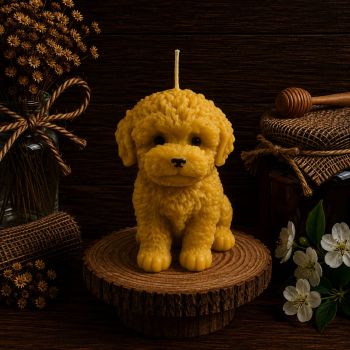 Illuminate your world with the 3D Teddy Dog Candle &ndash; a charming masterpiece.
Crafted to perfection, this adorable candle captures the essence of a cuddly teddy dog. Light it up to witness enchanting shadows dance and infuse your space with a gentle aroma. With 60 hours of burn time, it's a heartwarming addition to any setting.
Dimensions:

Height: 120mm
Width: 130mm
Weight: 480g
Burn Time: 60 hours
