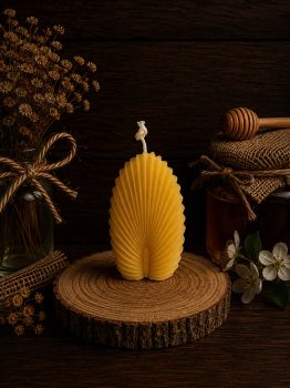 Introducing our fan Shell Candle: 80mm x 40mm, 61g, with a 10-hour burn time. Embrace coastal elegance and delicate charm in a petite package &ndash; perfect for any room or as a thoughtful gift.
&nbsp;
&nbsp;
&nbsp;
&nbsp;
&nbsp;
&nbsp;
&nbsp;
&nbsp;
&nbsp;
&nbsp;
&nbsp;
&nbsp;
&nbsp;
&nbsp;
&nbsp;
&nbsp;
&nbsp;
&nbsp;