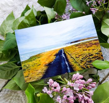 Fine art Irish landscape / seascape greeting card, 17x12cm.
Search for my store Sarah Elliott Fine Art to view all my products.