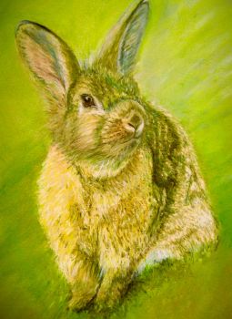 Fine art nature print of my original chalk pastel painting. Our beloved pet rabbit &lsquo;Misty&rsquo; with his twitchy nose &amp; had such a wonderful sunny nature&hellip;.hence &lsquo;Sunny Bunny&rsquo;. &nbsp;
Search for my store&nbsp;Sarah Elliott Fine Art&nbsp;to view all my products.