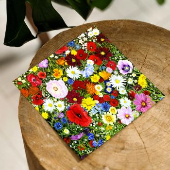'Wonderfully Wild' - Wildflowers greeting card 15 x 15cm.
Press printed on medium weight 330gsm silk paper stock.
Blank inside for you to 'pen' your own message, with a white envelope.