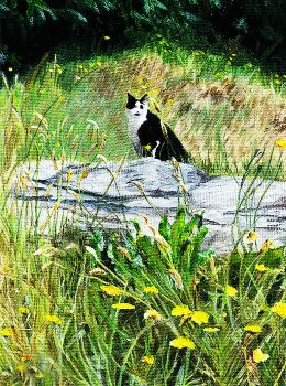 Fine art print created from my acrylic artwork 'A Quiet Moment' of a black and white cat quietly surveying his territory.
Search for my store Sarah Elliott Fine Art to view all my products.