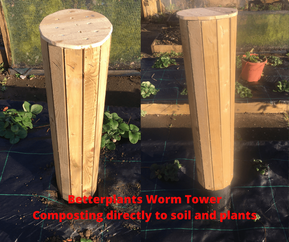 Betterplants Worm Tower | Shop In Ireland