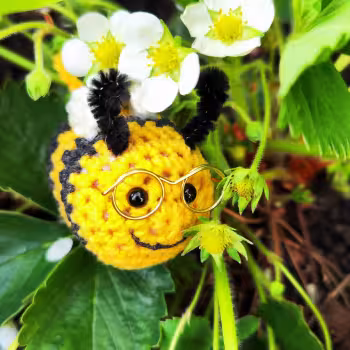 Bee with glasses 🐝🐝🐝👓👓👓🐝🐝
Super cute!
