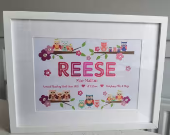 Personalised OWLS New Baby Girl Gift Frame
* with the Baby’s Birth details !
* Comes with Free Giftwraping & Bow!
Please add (in the box when ordering) the Baby’s Name, Date of Birth, Time of Birth, Birth Weight
Comes with Free Gift-wrapping & Bow!
*Please Note This is not a Toy and is purely for decoration purposes, it should never be given to a Baby to play or anyone under 3 years of age, due to small parts and choking risk